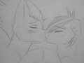 Snowy and Steadfast doing some kissin~