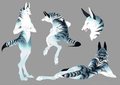Akitla - Anthro Reference Sheet by Alcina24