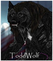 ToddWolf badge