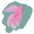 Betta Fish Doodle 2