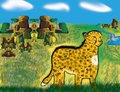 south african cheetah