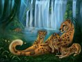 Queen of the jungle by Kooskia