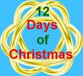 The 12 Furry Days of Christmas