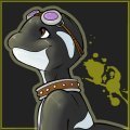 Wi Orca Icon  by Widontknow