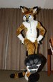 Kendall Fursuit (no trenchcoat)