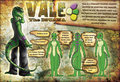 Vale the iguana by valeiggy