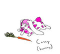Cassy Bunny Ref 