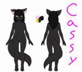 Cassy Cat ref
