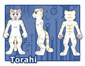 Torahi fursuit reference sheet