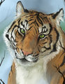 Animal Portrait - Tiger by MissOro