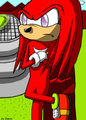 Knuckles the guardian