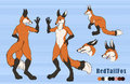 Realistic Redtail Ref Sheet by Redtailfox