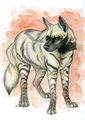 Striped Hyena Painted Sketch