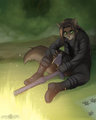 Exoticwolf commission (August 2013)
