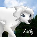 Lilly by KolewazakiSan