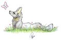 Sketch - Fox.. being a fox? by amusedinsanity