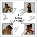 4 calling friends by AngelFyre