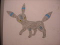 Shiny Umbreon Drawing by bhscorch1313