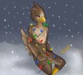 Holiday bird~