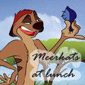 Meerkats at lunch