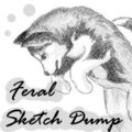 Feral sketch dump