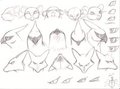 Pokemon head Sketches