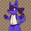 DFD - Lucario Pooltoy by Empa
