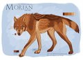 Morian - Ref by LostWolfSpirit