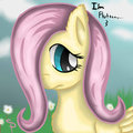 Fluttershy