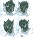 Catmeister - Head Shot - Emotions by sonicremix