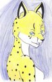 Cheetah Girl Request by myatchi