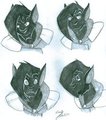 Catmeister - Head Shot - Emotions 2