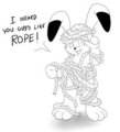 Got rope?