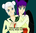 Tsuki and Kioko by SonicSpirit
