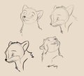 Silverwolf Icons by Tuke