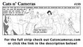Cats n Cameras - Strip #199 "Here Catch!"