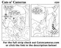 Cats n Cameras - Strip 200 - Probably not! ( plus more! )