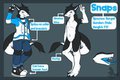 [REF] Snaps the Sergal by grimmgin