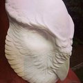 Blank Owl Mask