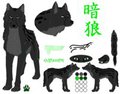 Kurai Ookami Feral Reference Sheet by KuraiOokami