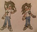 2014 A5L Sonic Persona - Male and Female