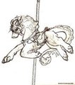 Drakenhart Carousel Pony