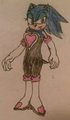 TG Sonic in Rouge's clothes