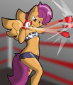 Scoots boxing