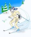 Halo Skiing 