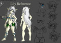 Commission: Lily - Reference