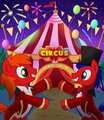 Circus ponies