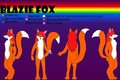 Blazie fox reference sheet