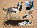 [COMMISSION] Eden's Official Reference Sheet 2014 by Aeyote