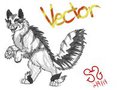 Vector -Sketch-